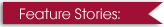 Berlin Film Festival 2011 Feature Stories