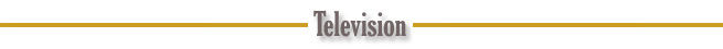 Hollywood's New Leaders: Television