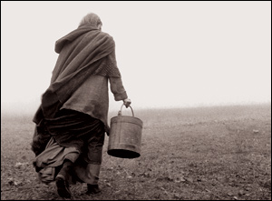 'The Turin Horse'