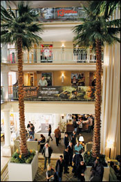 Loews