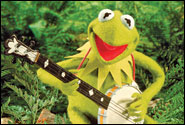 Kermit