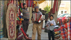 'The Accordian'