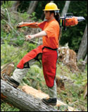 'America’s Toughest Jobs'