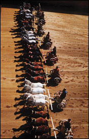 'Ben-Hur'