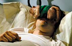 'Chipmunks'