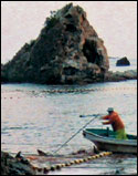 'The Cove'