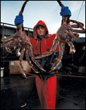 'Deadliest Catch'