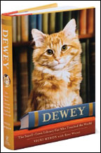 'Dewey'