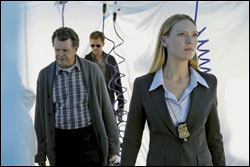 'Fringe'