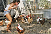 'Farmer Wants a Wife'