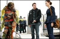 'Bones'