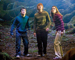 'Harry Potter'