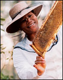'The Secret Life of Bees'