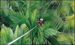 'Makay, the Lost World's Raiders'