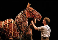 'War Horse'
