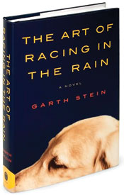 'The Art of Racing in the Rain'