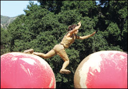 'Wipeout'