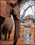 Daphne Sheldrick