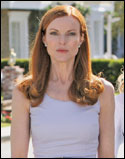 'Desperate Housewives'