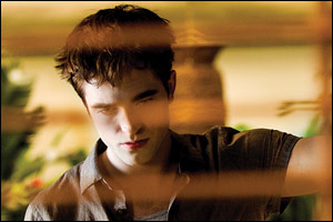 'The Twilight Saga: Breaking Dawn - Part 1'