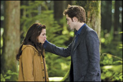 'The Twilight Saga: New Moon'