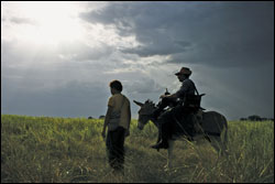 'Viajes Del Viento'