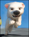 'Bolt'
