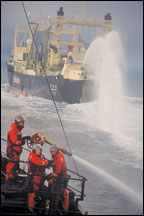 'Whale Wars'