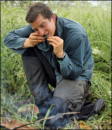 Bear Grylls