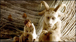 'Where the Wild Things Are'