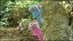 'The WotWots'
