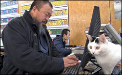 'Ai Weiwei: Never Sorry'