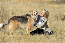 'Darling Companion'