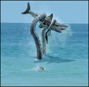 'Sharktopus'