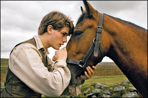 War Horse'