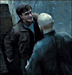 'Harry Potter and the Deathly Hallows: Part 2'