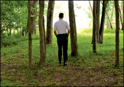 'The Tree of Life'