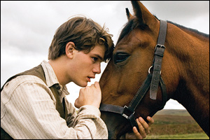 'War Horse'