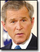 President Bush