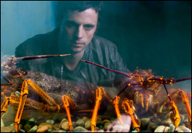 Variety Reviews - Burning Man -...