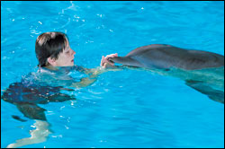 'Dolphin Tale'