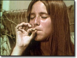 'The Drug Years'