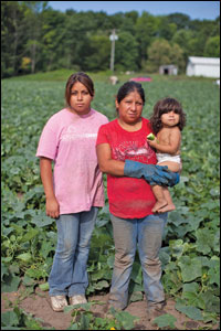 'The Harvest/La Cosecha'