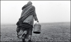'The Turin Horse'