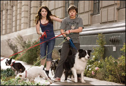 'Hotel for Dogs'