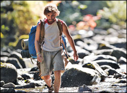'Into the Wild'