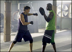'Never Back Down'