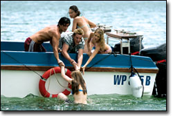 'Spring Break: Shark Attack'