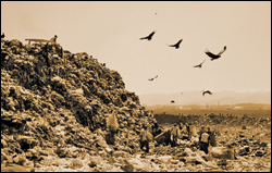 'Waste Land'