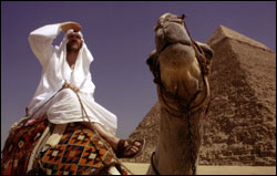 'Where in the World Is Osama bin Laden'